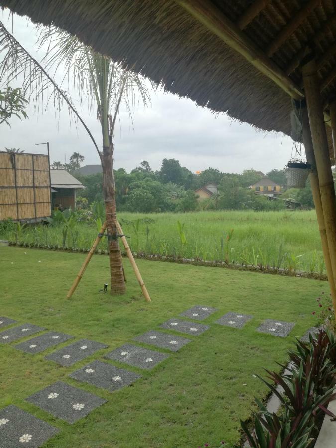 Hello Canggu Homestay 外观 照片